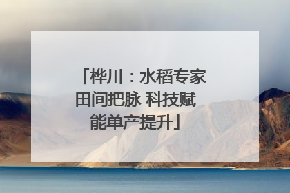 桦川：水稻专家田间把脉 科技赋能单产提升